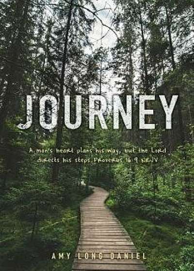 Journey, Paperback/Amy Long Daniel