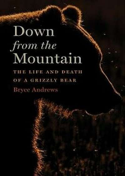 Down from the Mountain: The Life and Death of a Grizzly Bear, Hardcover/Bryce Andrews