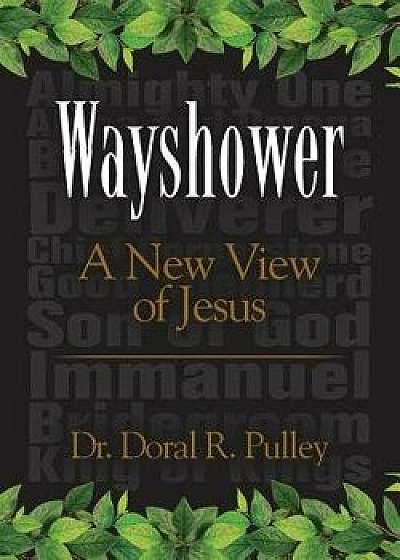 Wayshower: A New View of Jesus, Paperback/Doral R. Pulley