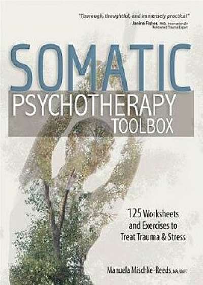 Somatic Psychotherapy Toolbox: 125 Worksheets and Exercises to Treat Trauma & Stress, Paperback/Manuela Mischke-Reeds