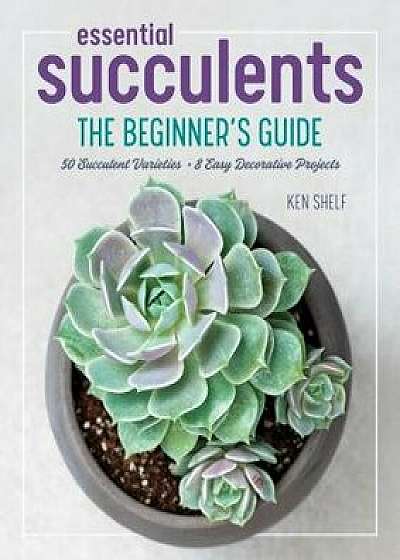 Essential Succulents: The Beginner's Guide, Paperback/Ken Shelf