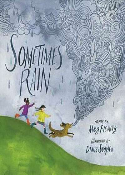 Sometimes Rain, Hardcover/Meg Fleming