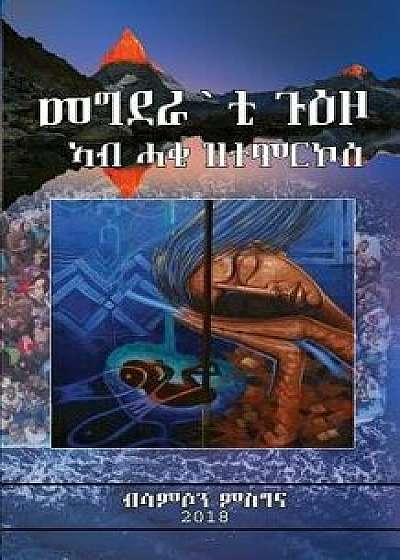 Coperta cărții Tragedy of Journey, Paperback/Mr Samson M. Mehreteab