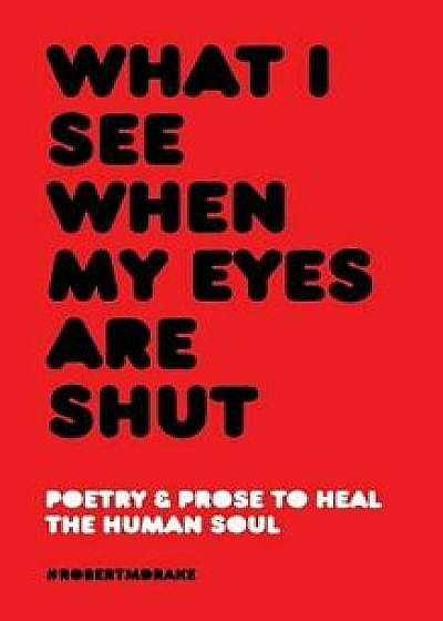 What I See When My Eyes Are Shut, Paperback/Robert M. Drake