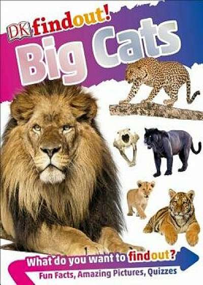 Dkfindout! Big Cats, Hardcover/DK