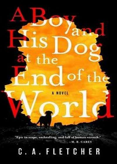 A Boy and His Dog at the End of the World, Hardcover/C. a. Fletcher