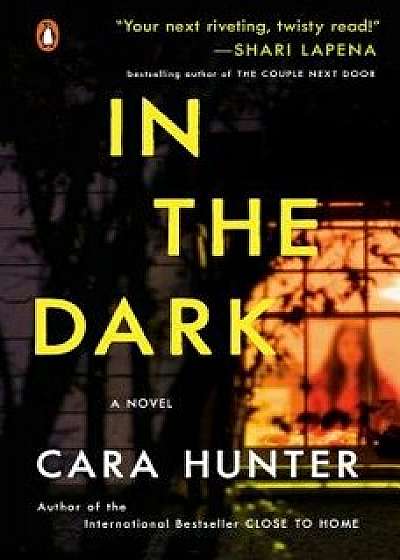 In the Dark, Paperback/Cara Hunter