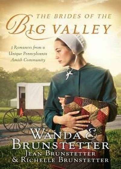 The Brides of the Big Valley: 3 Romances from a Unique Pennsylvania Amish Community, Paperback/Wanda E. Brunstetter