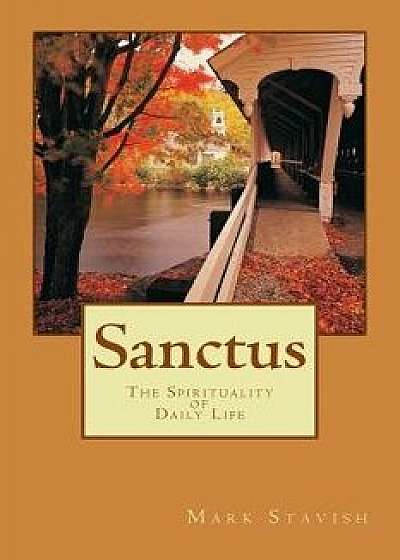 Sanctus - The Spirituality of Daily Life, Paperback/Mark Stavish