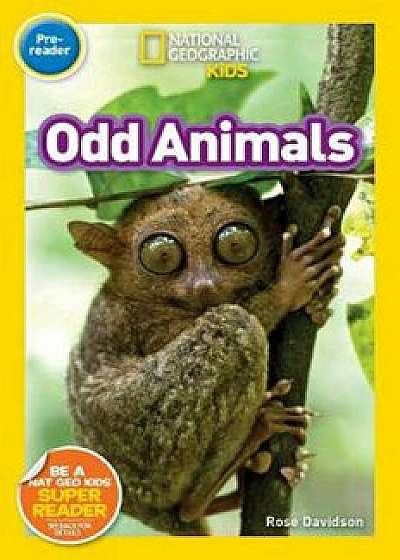 National Geographic Readers: Odd Animals (Pre-Reader)/Rose Davidson