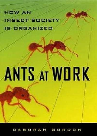 Ants at Work: How an Insect Society Is Organized, Paperback/Deborah Gordon