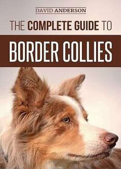 The Complete Guide to Border Collies: Training, Teaching, Feeding, Raising, and Loving Your New Border Collie Puppy, Paperback/David Anderson