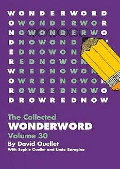 Wonderword Volume 30, Paperback/David Ouellet