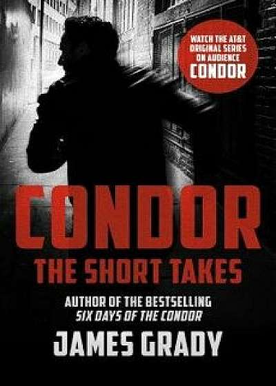 Condor: The Short Takes, Paperback/James Grady