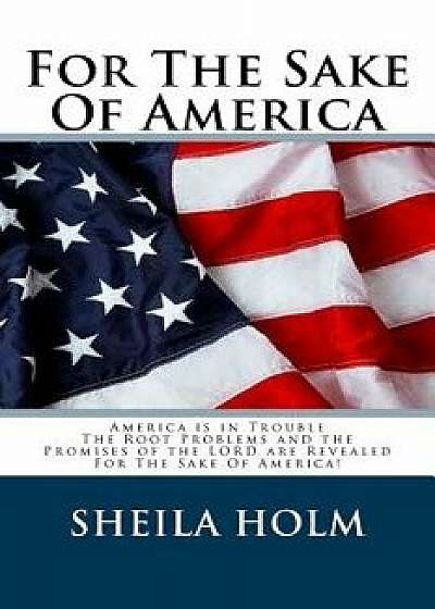 For the Sake of America, Paperback/Sheila Holm