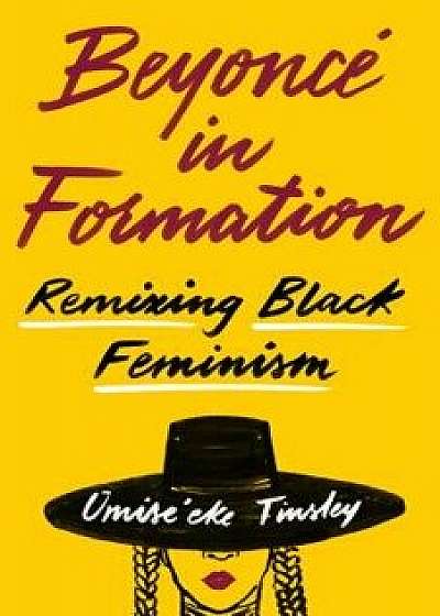 Beyonc in Formation: Remixing Black Feminism, Paperback/Omise'eke Natasha Tinsley