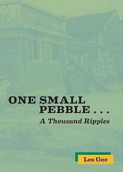 One Small Pebble ...: A Thousand Ripples, Paperback/Les Gee