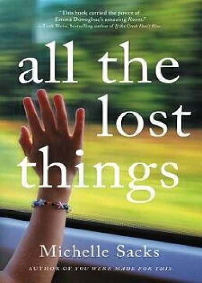All the Lost Things, Hardcover/Michelle Sacks
