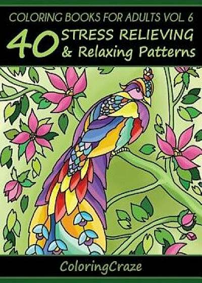 Coloring Books for Adults Volume 6: 40 Stress Relieving and Relaxing Patterns/Coloringcraze