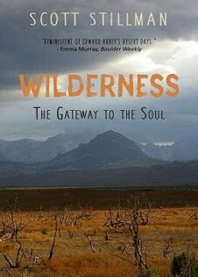 Wilderness, The Gateway To The Soul: Spiritual Enlightenment Through Wilderness, Paperback/Scott Stillman