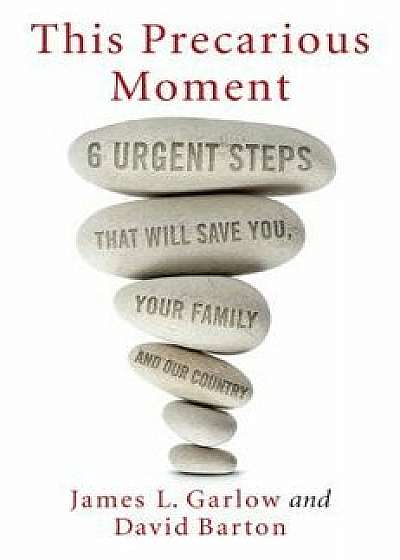 This Precarious Moment: Six Urgent Steps That Will Save You, Your Family, and Our Country, Hardcover/James L. Garlow