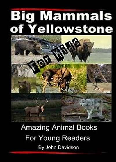 Big Mammals of Yellowstone for Kids: Amazing Animal Books for Young Readers, Paperback/John E. Davidson