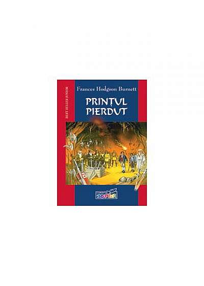 Coperta cărții Prinţul pierdut