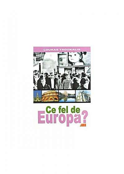 Coperta cărții Ce fel de Europă? de Loukas Tsoukalis