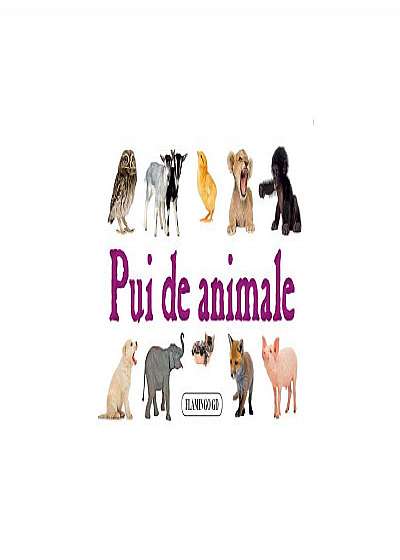 Coperta cărții Pui de animale (pliant cartonat)