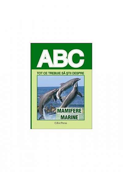 Tot ce trebuie să știi despre mamifere marine