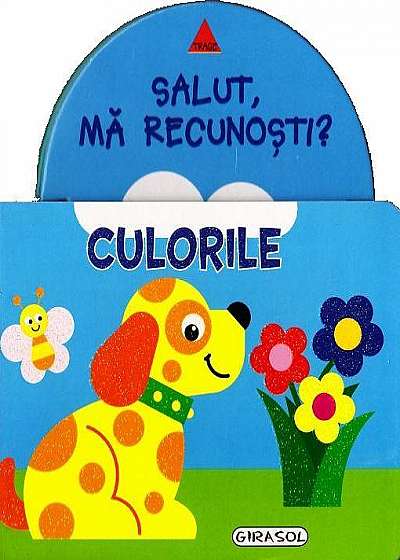 Coperta cărții Salut, mă recunoști? Culorile