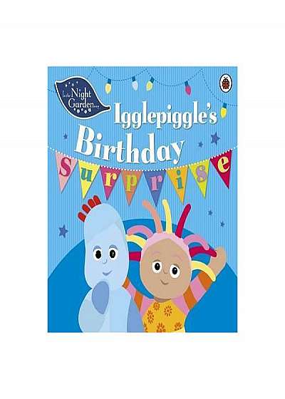 In the Night Garden: Igglepiggle's Birthday Surprise : Igglepiggle's Birthday Surprise