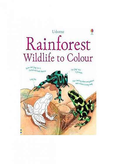 Coperta cărții Rainforest Wildlife to Colour