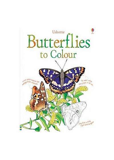 Coperta cărții Butterflies to Colour