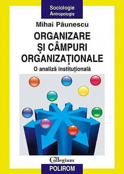 Organizare şi câmpuri organizaţionale. O analiză instituţională