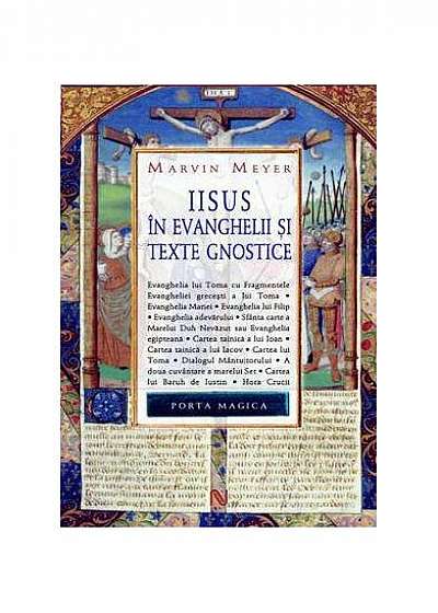 Iisus în evanghelii și texte gnostice