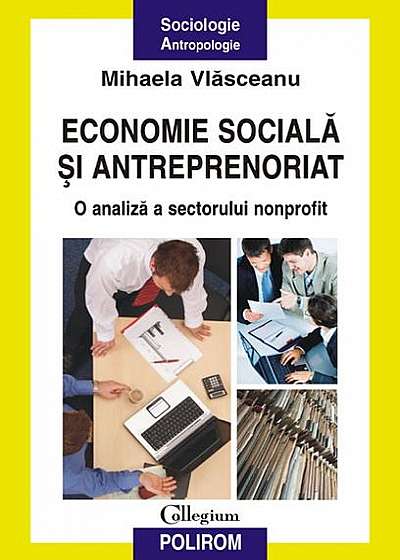 Economie socială şi antreprenoriat. O analiză a sectorului nonprofit