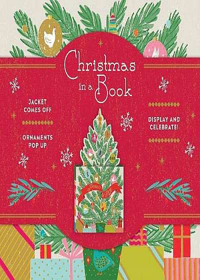 Christmas in a Book