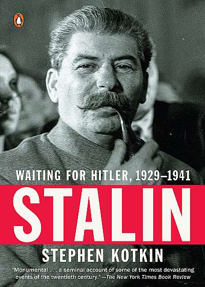 Stalin: Waiting for Hitler
