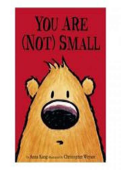 Coperta cărții You Are Not Small, Anna Kang de Chris Weyant