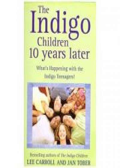 The Indigo Children. 10 Years Later, Jan Tober
