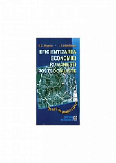 Eficientizarea economiei romanesti postsocialiste. De ce? Se poate? Cum?, Niculae G. Niculescu