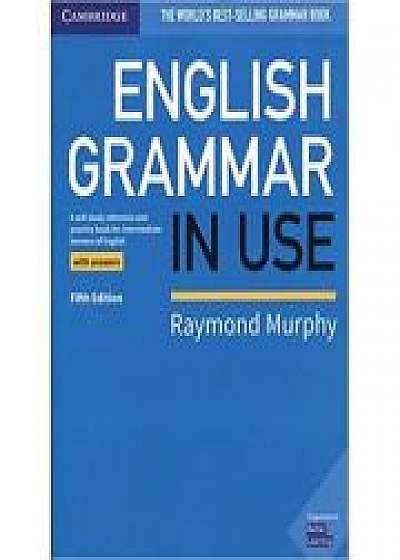 English Grammar in Use Book with Answers: A Self-study Reference and Practice Book for Intermediate Learners of English