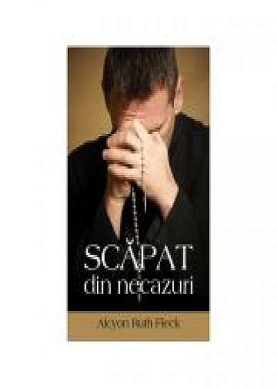 Coperta cărții Scapat din necazuri
