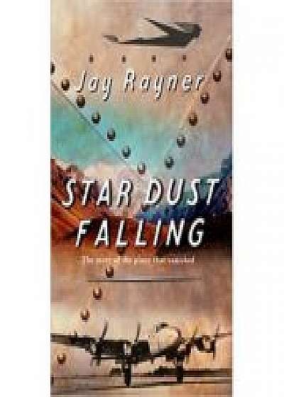Star Dust Falling. The Story of the Plane That Vanished