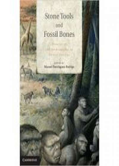 Stone Tools and Fossil Bones: Debates in the Archaeology of Human Origins