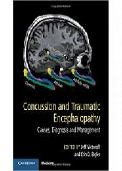 Concussion and Traumatic Encephalopathy: Causes, Diagnosis and Management, Erin D. Bigler