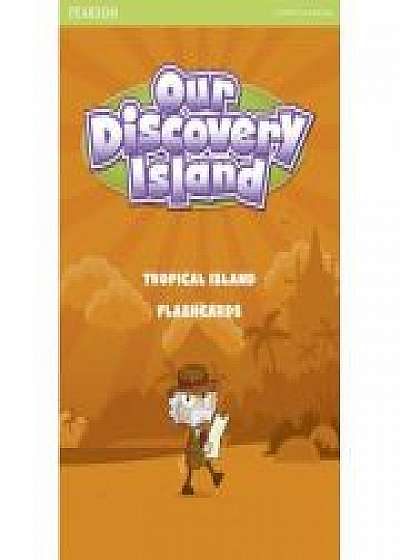 Our Discovery Island Level 1 Flashcards