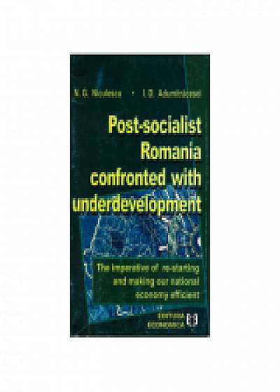 Post-socialist Romania confronted with underdevelopment, Niculae G. Niculescu