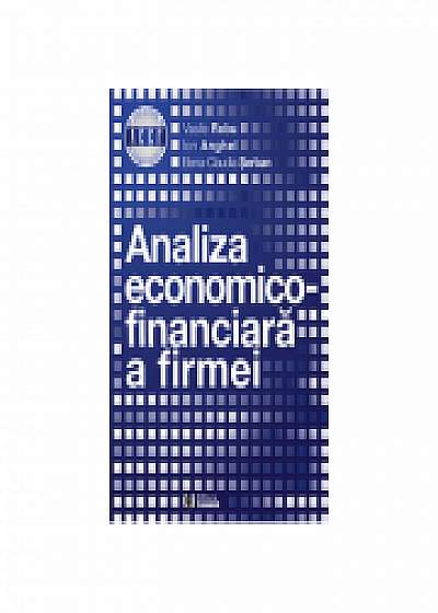 Analiza economico-financiara a firmei, Ion Anghel, Elena Claudia Serban